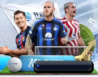 asia-bisports.com.cn的故事